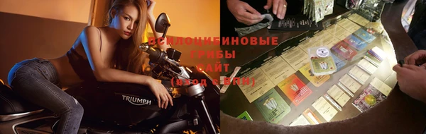 MESCALINE Гусь-Хрустальный