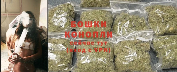 эйфоретик Гусиноозёрск